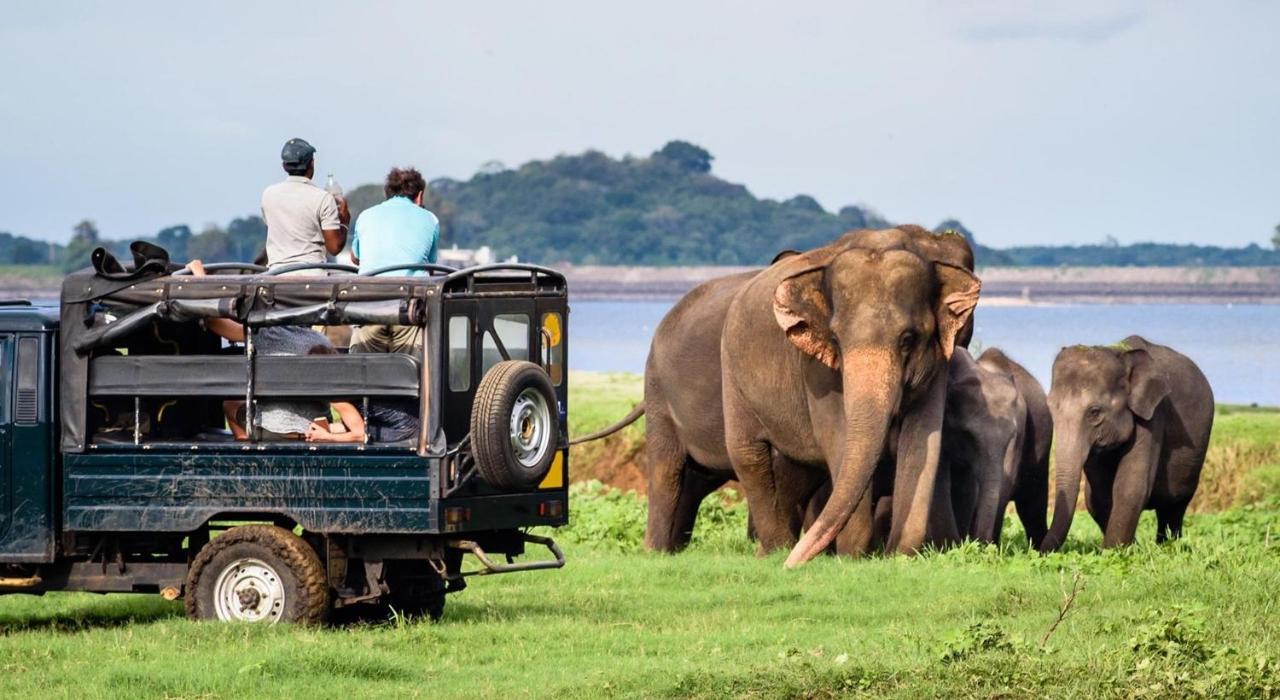 Dinesh Safari Homestay Udawalawe Exteriör bild